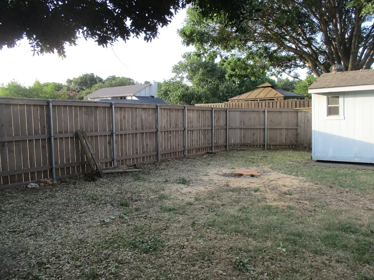 Cleared yard after professional tree removal in Volga