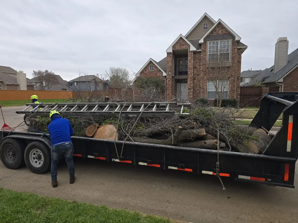Expert Lot Clearing with proper safety equipment in Volga